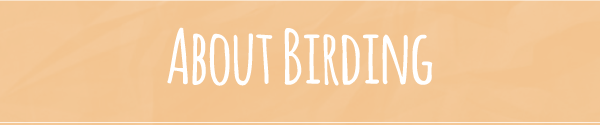 About Birding
