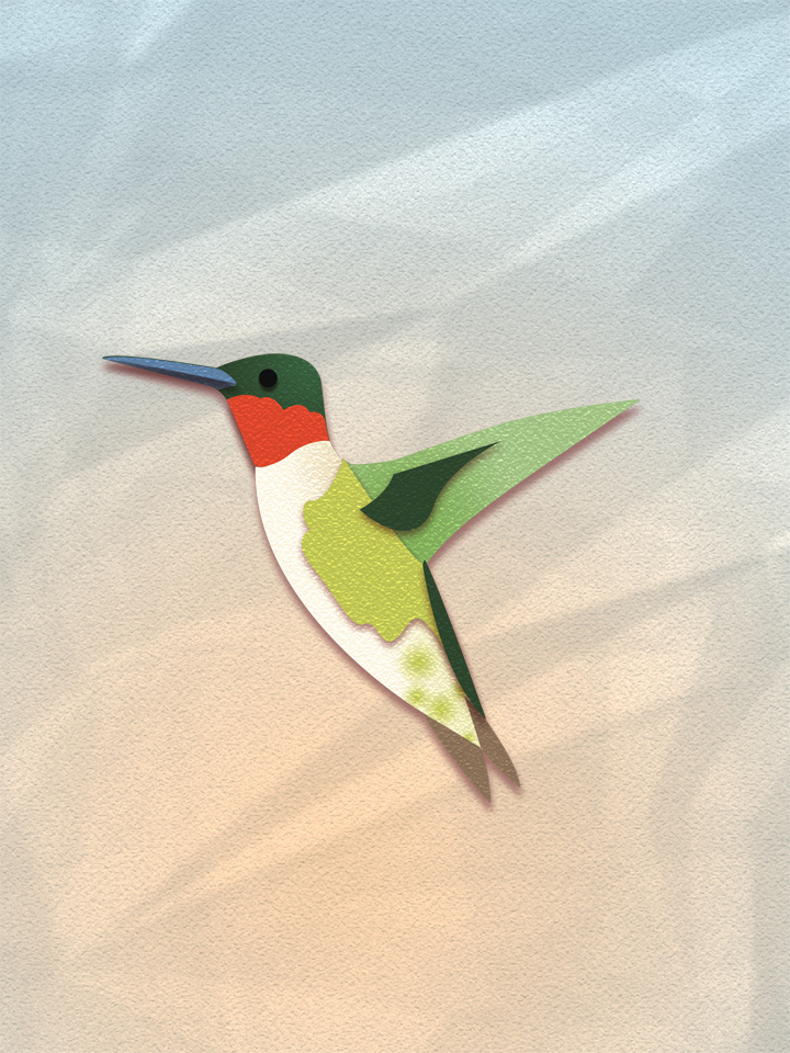 Ruby-Throated Hummingbird 1