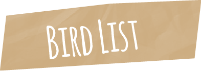 Bird List